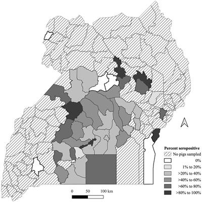 Detection of antibodies against Ornithodoros moubata salivary antigens and their association with detection of African swine fever virus in pigs slaughtered in central Uganda